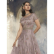 Heavy Butterfly Net with Embroidery Designer Anarkali Gown