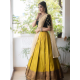 Sequin Embroidered Velvet Special lehenga choli set